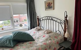 Bebabops Homestay Utrecht